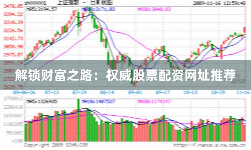 解锁财富之路：权威股票配资网址推荐