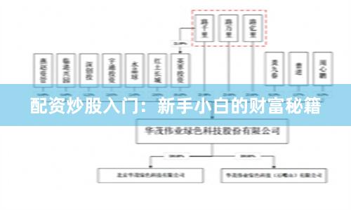 配资炒股入门：新手小白的财富秘籍